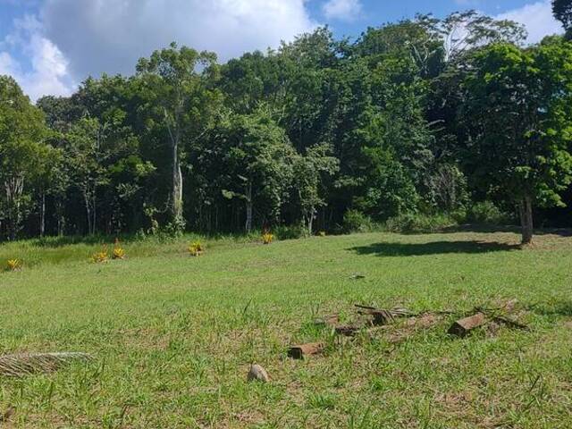 #184 - Terreno para Venda em Uruçuca - BA