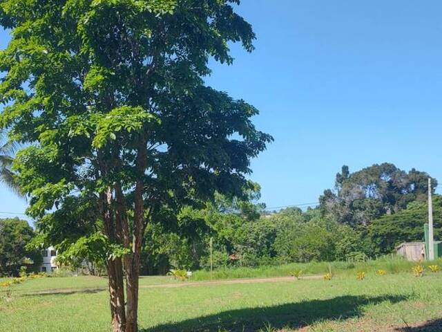 Venda em Serra Grande - Uruçuca