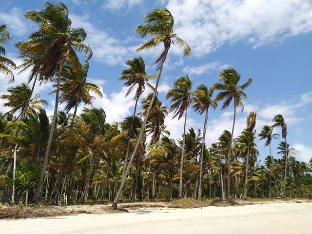 Venda em Ponta do Ramo - Ilhéus