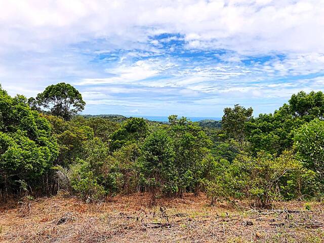 #197 - Fazenda para Venda em Uruçuca - BA - 2