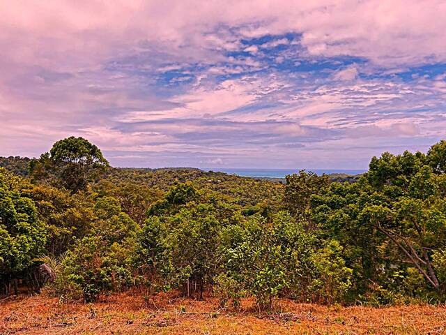 #197 - Fazenda para Venda em Uruçuca - BA - 3